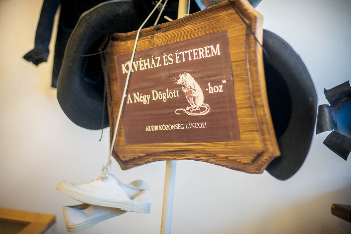 Fotó: Csortos Szabolcs